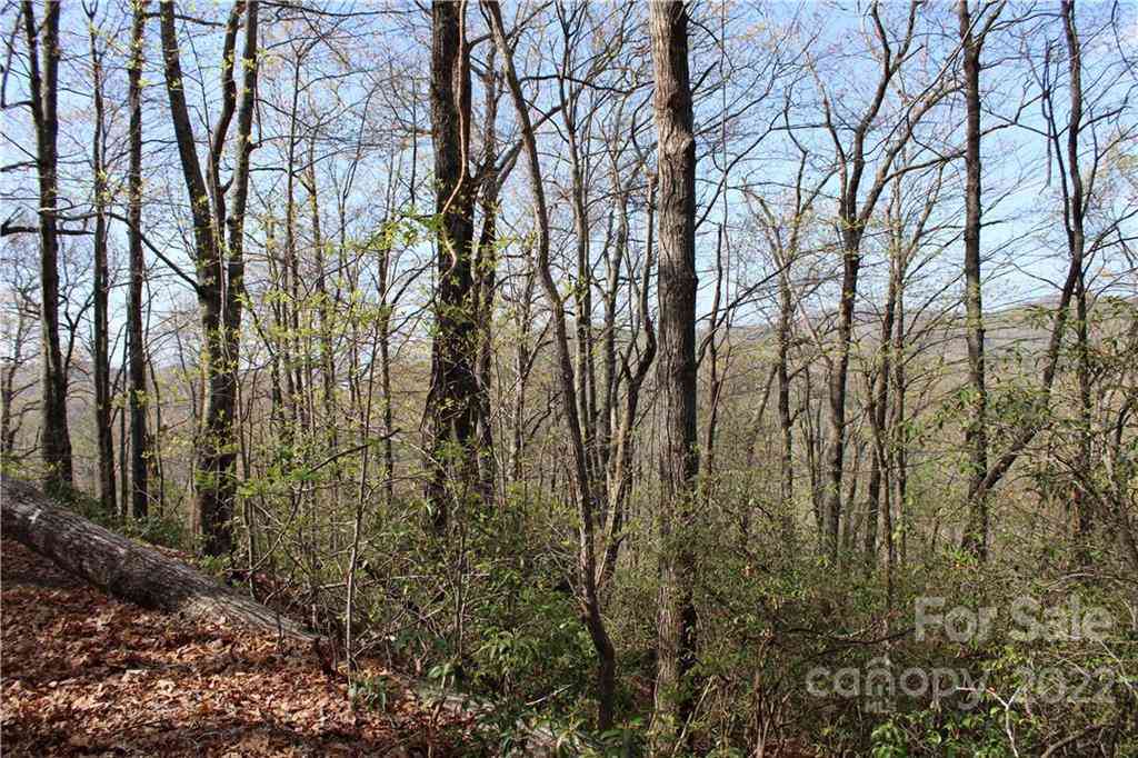 TBD Oak Ridge Road #17, Rosman, North Carolina image 7