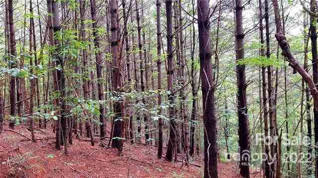 4.6 Acres On Narrow Gauge Drive #15, Collettsville, North Carolina image 12