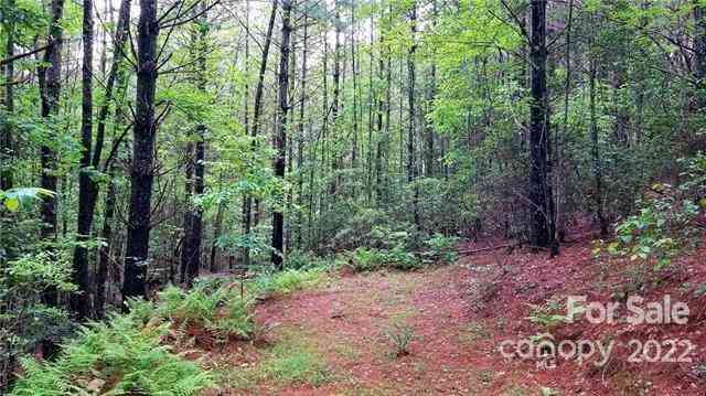 4.6 Acres On Narrow Gauge Drive #15, Collettsville, North Carolina image 8