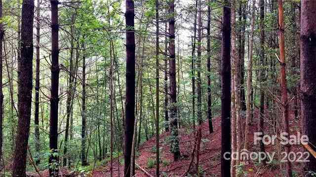 4.6 Acres On Narrow Gauge Drive #15, Collettsville, North Carolina image 14