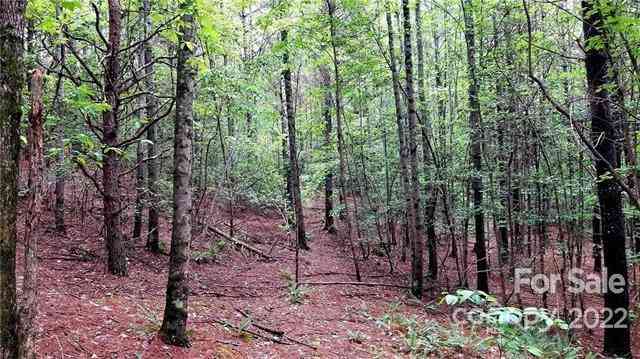 4.6 Acres On Narrow Gauge Drive #15, Collettsville, North Carolina image 9