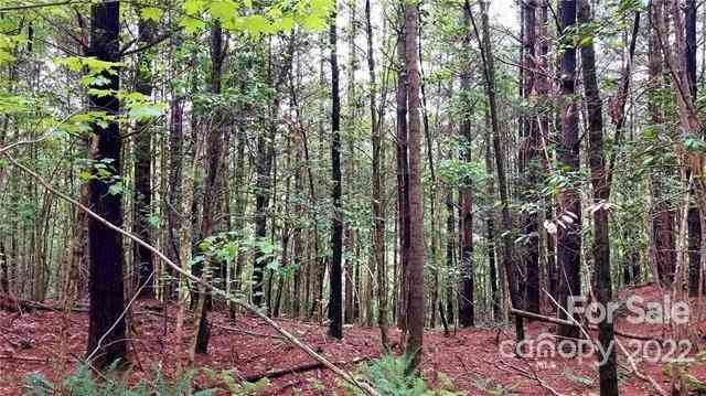 4.6 Acres On Narrow Gauge Drive #15, Collettsville, North Carolina image 10