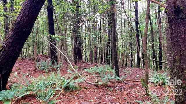 4.6 Acres On Narrow Gauge Drive #15, Collettsville, North Carolina image 11