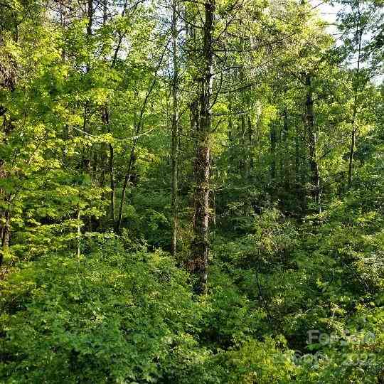 TBD Cabin Hill Road #12, Green Mountain, North Carolina image 47