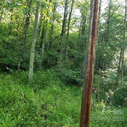 TBD Cabin Hill Road #12, Green Mountain, North Carolina image 1