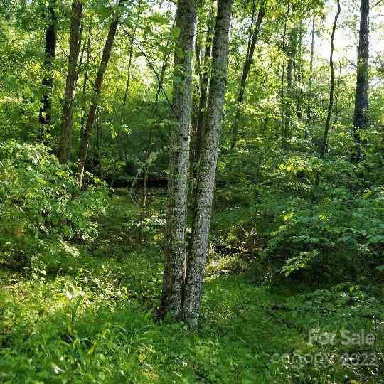 TBD Cabin Hill Road #12, Green Mountain, North Carolina image 16