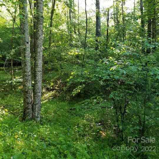 TBD Cabin Hill Road #12, Green Mountain, North Carolina image 22