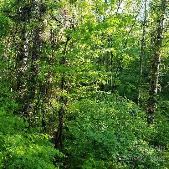 TBD Cabin Hill Road #12, Green Mountain, North Carolina image 44