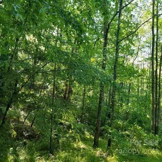 TBD Cabin Hill Road #12, Green Mountain, North Carolina image 7