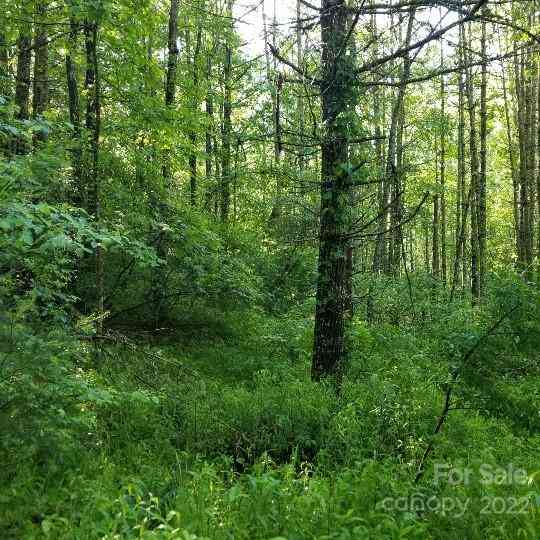 TBD Cabin Hill Road #12, Green Mountain, North Carolina image 21