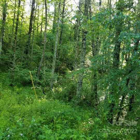 TBD Cabin Hill Road #12, Green Mountain, North Carolina image 30