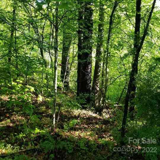 TBD Cabin Hill Road #12, Green Mountain, North Carolina image 9