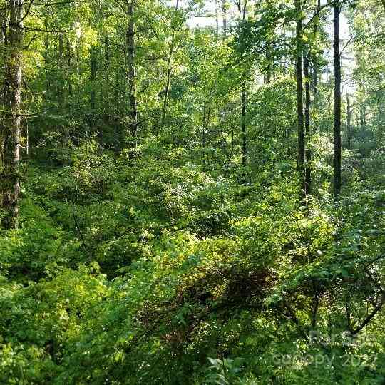 TBD Cabin Hill Road #12, Green Mountain, North Carolina image 46