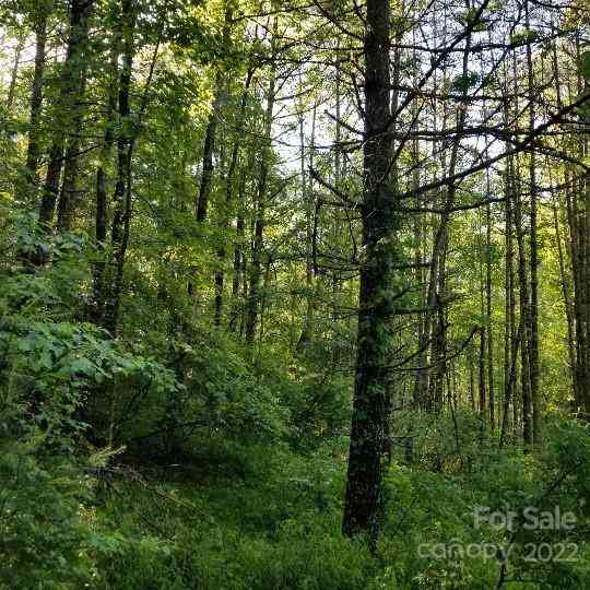 TBD Cabin Hill Road #12, Green Mountain, North Carolina image 18