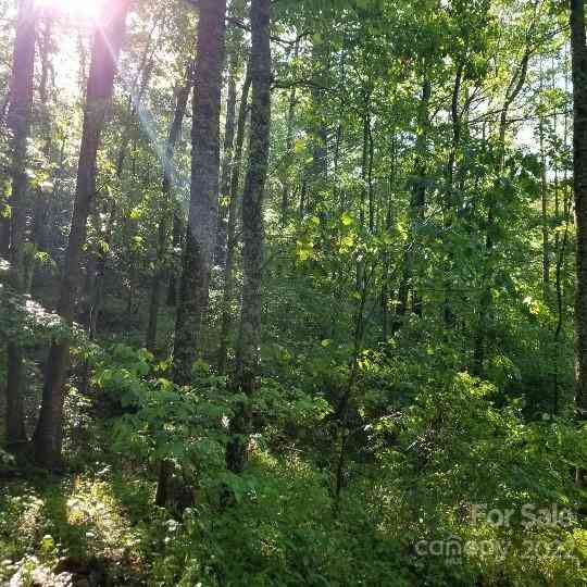 TBD Cabin Hill Road #12, Green Mountain, North Carolina image 13