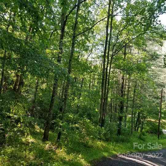 TBD Cabin Hill Road #12, Green Mountain, North Carolina image 5