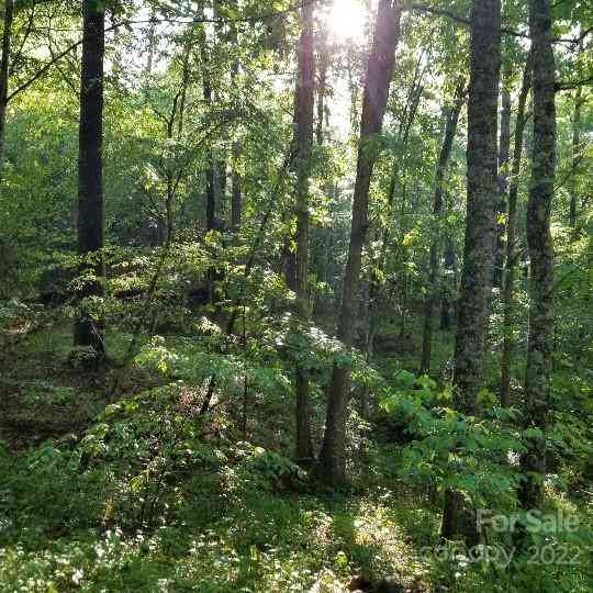 TBD Cabin Hill Road #12, Green Mountain, North Carolina image 12