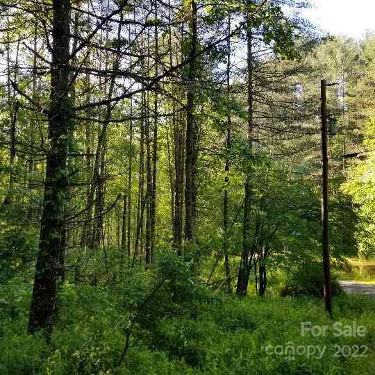 TBD Cabin Hill Road #12, Green Mountain, North Carolina image 19