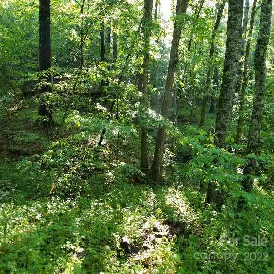 TBD Cabin Hill Road #12, Green Mountain, North Carolina image 15