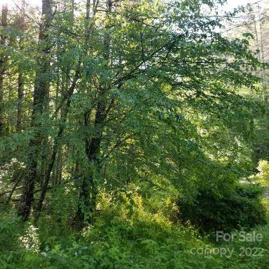 TBD Cabin Hill Road #12, Green Mountain, North Carolina image 26