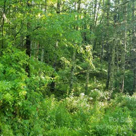 TBD Cabin Hill Road #12, Green Mountain, North Carolina image 35