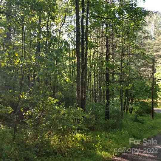 TBD Cabin Hill Road #12, Green Mountain, North Carolina image 14