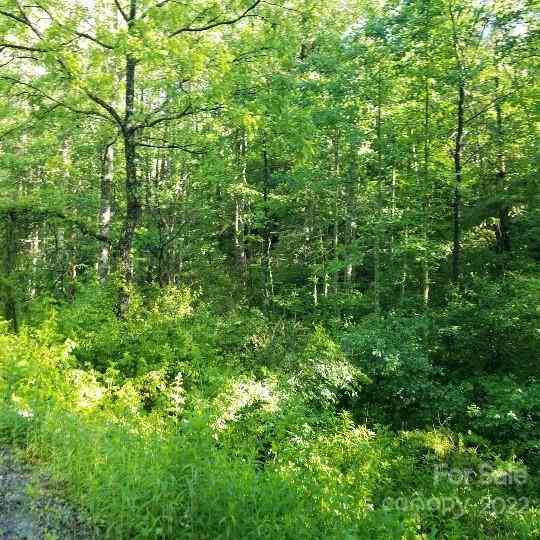 TBD Cabin Hill Road #12, Green Mountain, North Carolina image 40