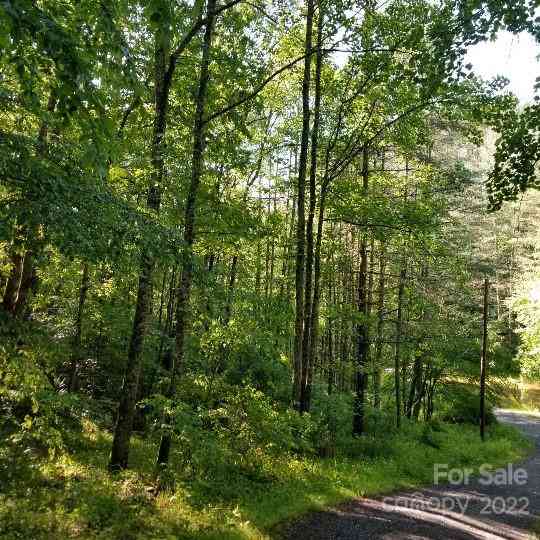 TBD Cabin Hill Road #12, Green Mountain, North Carolina image 6