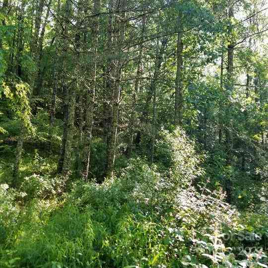 TBD Cabin Hill Road #12, Green Mountain, North Carolina image 38