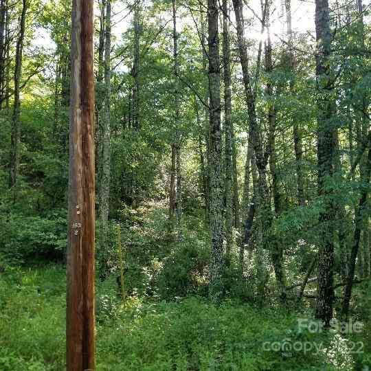 TBD Cabin Hill Road #12, Green Mountain, North Carolina image 27