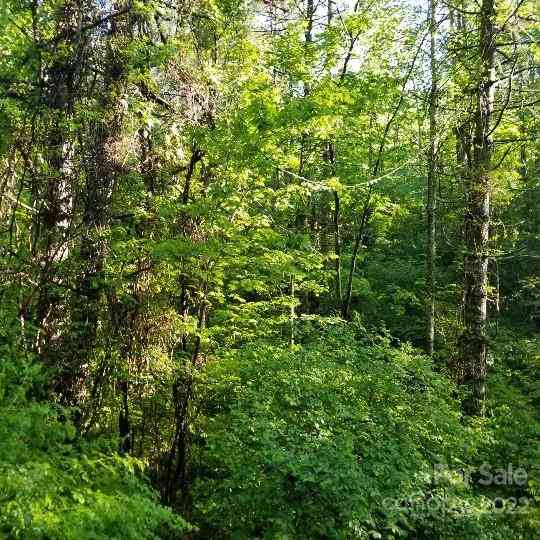 TBD Cabin Hill Road #12, Green Mountain, North Carolina image 48