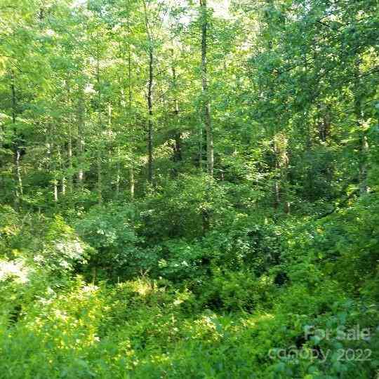 TBD Cabin Hill Road #12, Green Mountain, North Carolina image 39