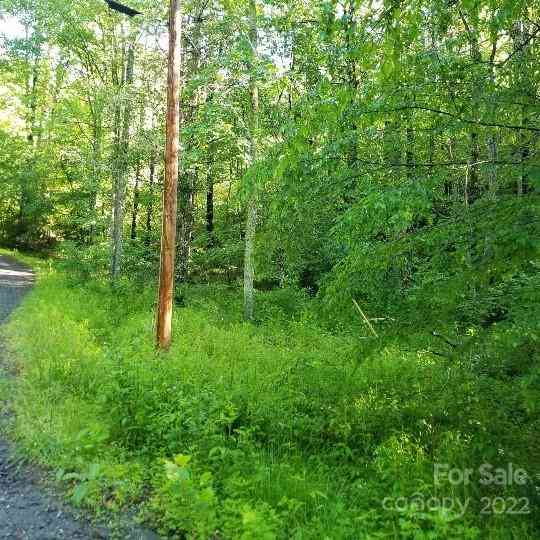 TBD Cabin Hill Road #12, Green Mountain, North Carolina image 32