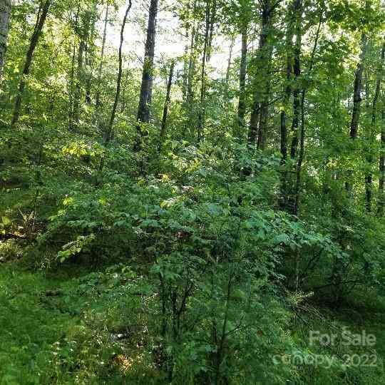 TBD Cabin Hill Road #12, Green Mountain, North Carolina image 17