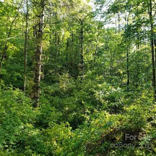 TBD Cabin Hill Road #12, Green Mountain, North Carolina image 45