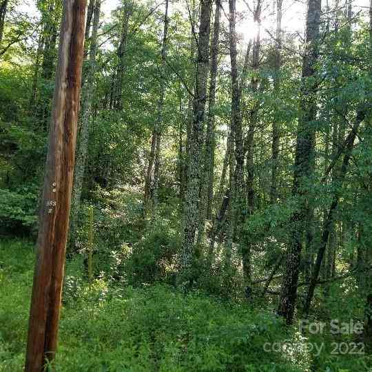 TBD Cabin Hill Road #12, Green Mountain, North Carolina image 24