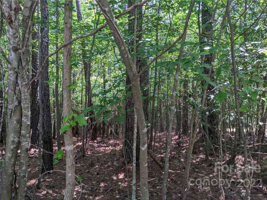 223 Plantation Way #82, Mount Gilead, North Carolina image 6