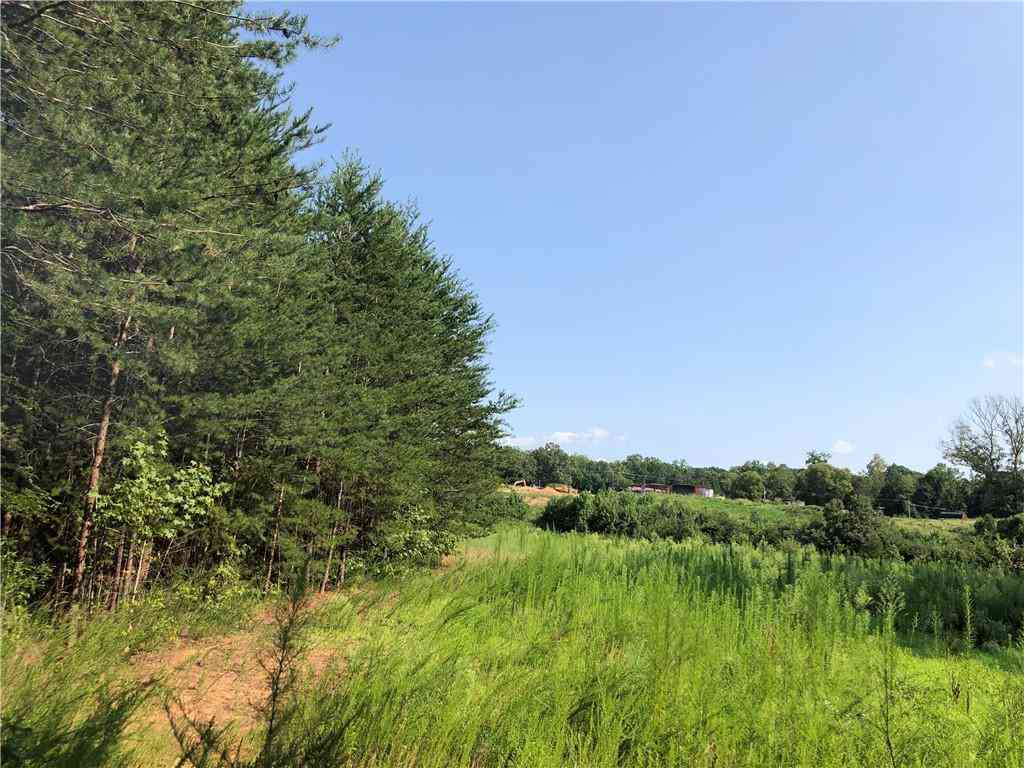 00 Lake Sylvia Road, Lincolnton, North Carolina image 6