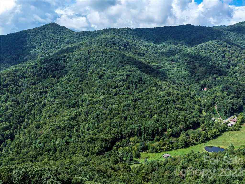 99999 Moody Cove Road, Weaverville, North Carolina image 1