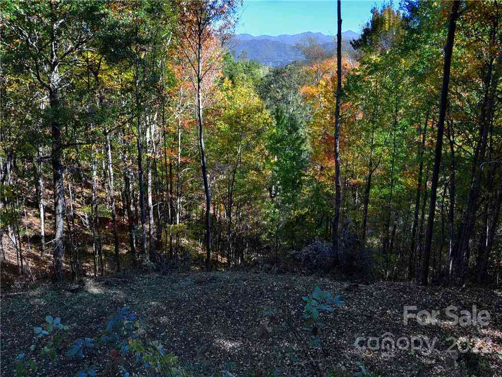 Lot #25 Utah Mountain Road, Waynesville, North Carolina image 18