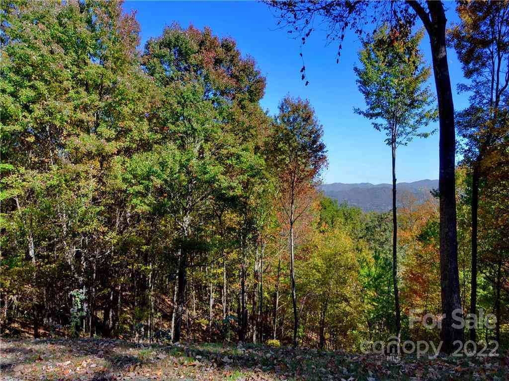 Lot #25 Utah Mountain Road, Waynesville, North Carolina image 15