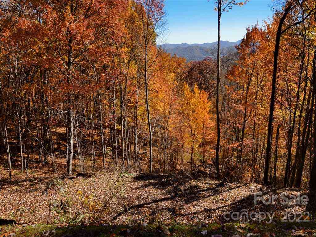 Lot #25 Utah Mountain Road, Waynesville, North Carolina image 11