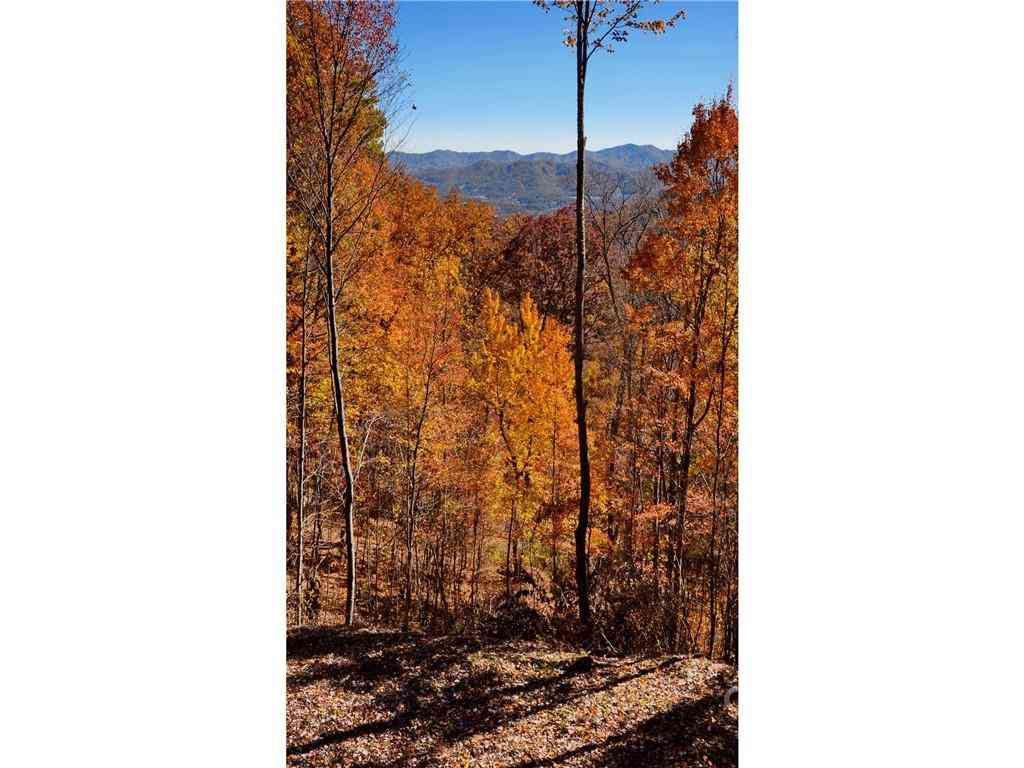 Lot #25 Utah Mountain Road, Waynesville, North Carolina image 10