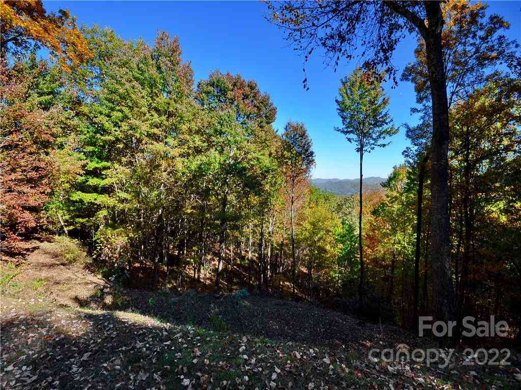 Lot #25 Utah Mountain Road, Waynesville, North Carolina image 19