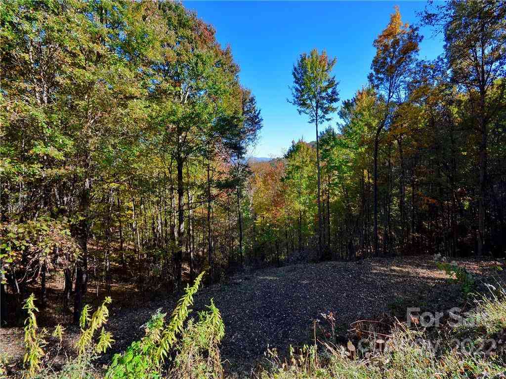 Lot #25 Utah Mountain Road, Waynesville, North Carolina image 20