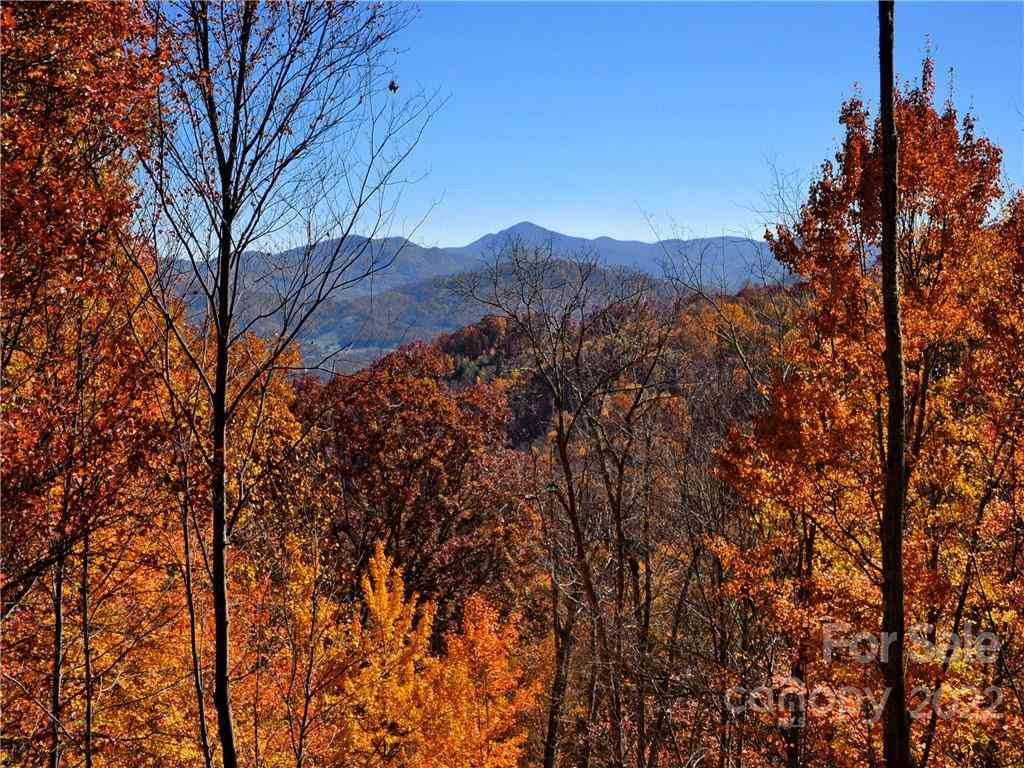 Lot #25 Utah Mountain Road, Waynesville, North Carolina image 12