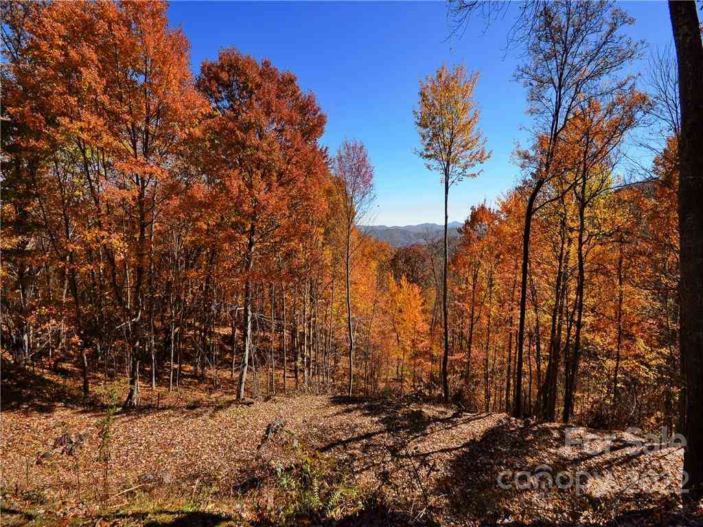 Lot #25 Utah Mountain Road, Waynesville, North Carolina image 13