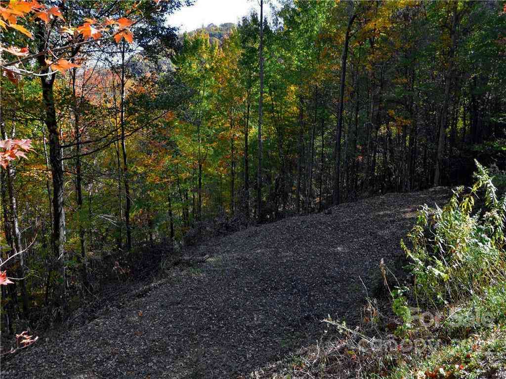 Lot #25 Utah Mountain Road, Waynesville, North Carolina image 17