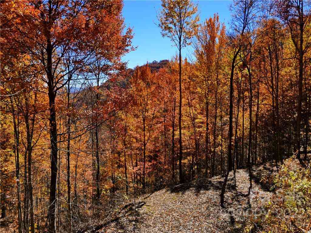 Lot #25 Utah Mountain Road, Waynesville, North Carolina image 8