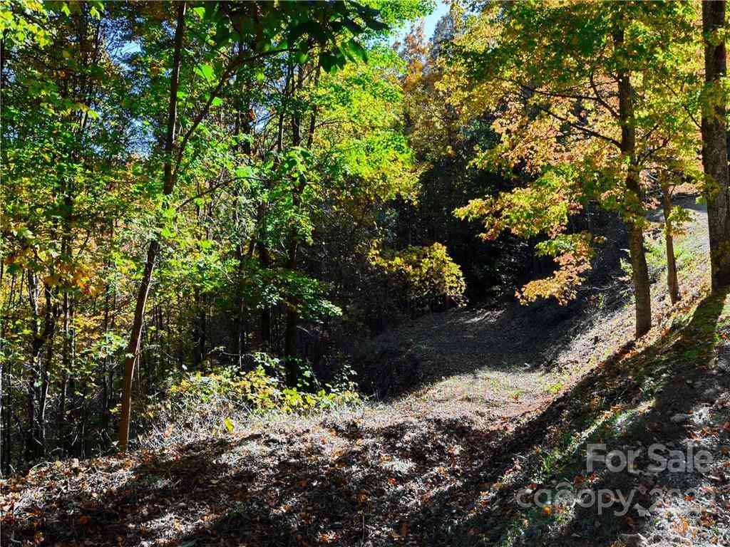 Lot #25 Utah Mountain Road, Waynesville, North Carolina image 16